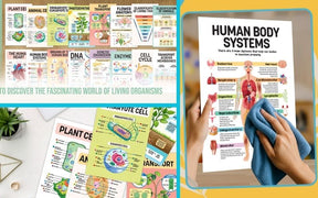 Why Every Science Classroom Needs a Biology Poster Wall
